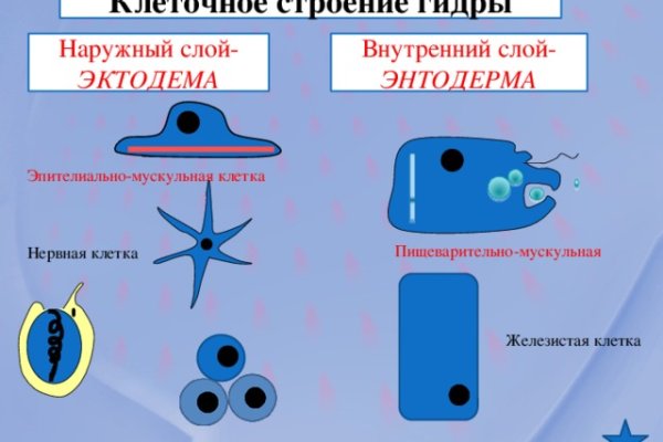 Актуальные ссылки кракен на 2025