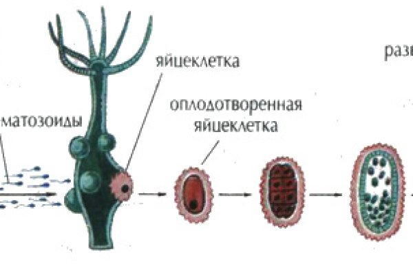 Кракен маркетплейс ссылка