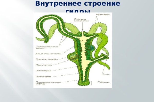 Кракен порошок