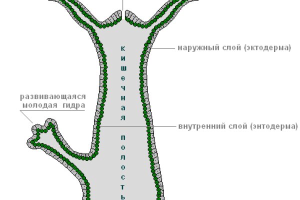 Кракен сайт дарк нет